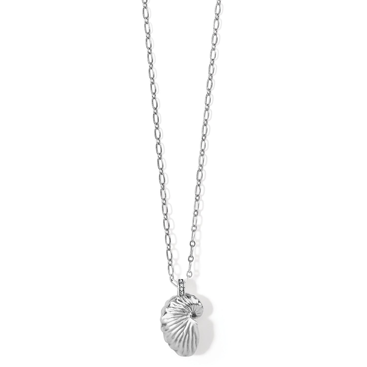Paper Nautilus Shell Necklace - She Chester