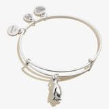 Penguin Animal Guide RS - She Chester