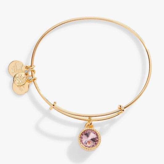 SG June Amethyst Birthstone II - She Chester