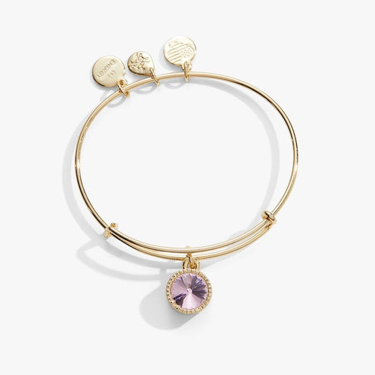 SG October Pink Bangle II - She Chester