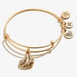 Sloth Animal Guide RG - She Chester
