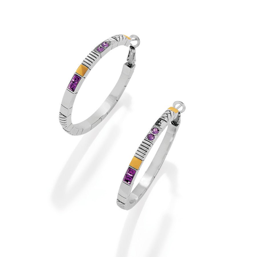 Tapestry Royal Hoop Earrings - JA9163 - She Chester