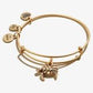 Turtle Animal Guide RG - She Chester