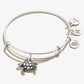 Turtle Animal Guide RS - She Chester